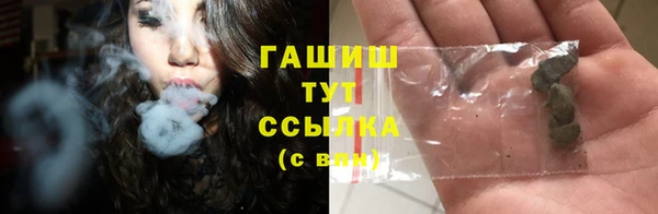 шишки Верхний Тагил