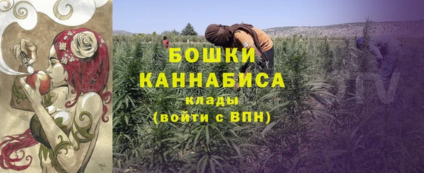 шишки Верхний Тагил