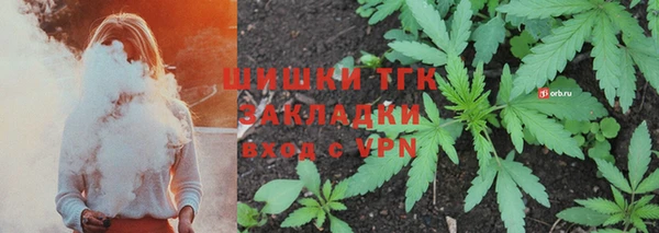 шишки Верхний Тагил