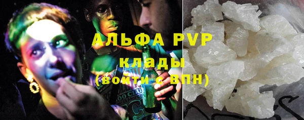 шишки Верхний Тагил