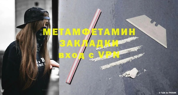 шишки Верхний Тагил