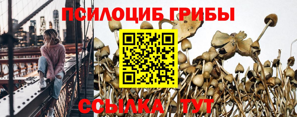 Галлюциногенные грибы ЛСД  Вход с VPN  Северск  Псилоцибиновые грибы Psilocybine cubensis 
