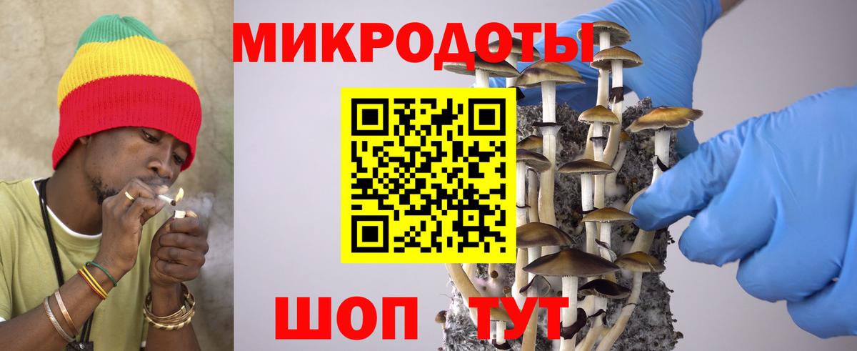 Галлюциногенные грибы Cubensis Северск